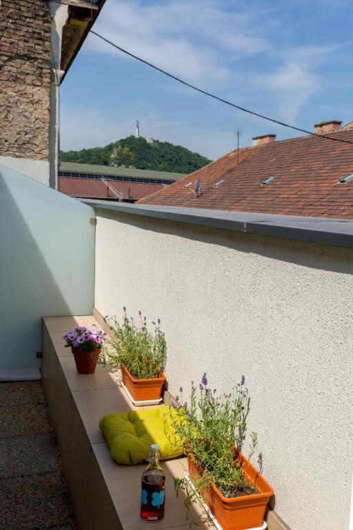 Erkel Rooftop Suites Budapest Eksteriør billede
